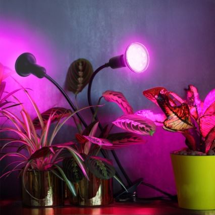 Candeeiro de mesa flexível com clipe para o cultivo de plantas PLANTY 2xE27/30W/230V preto
