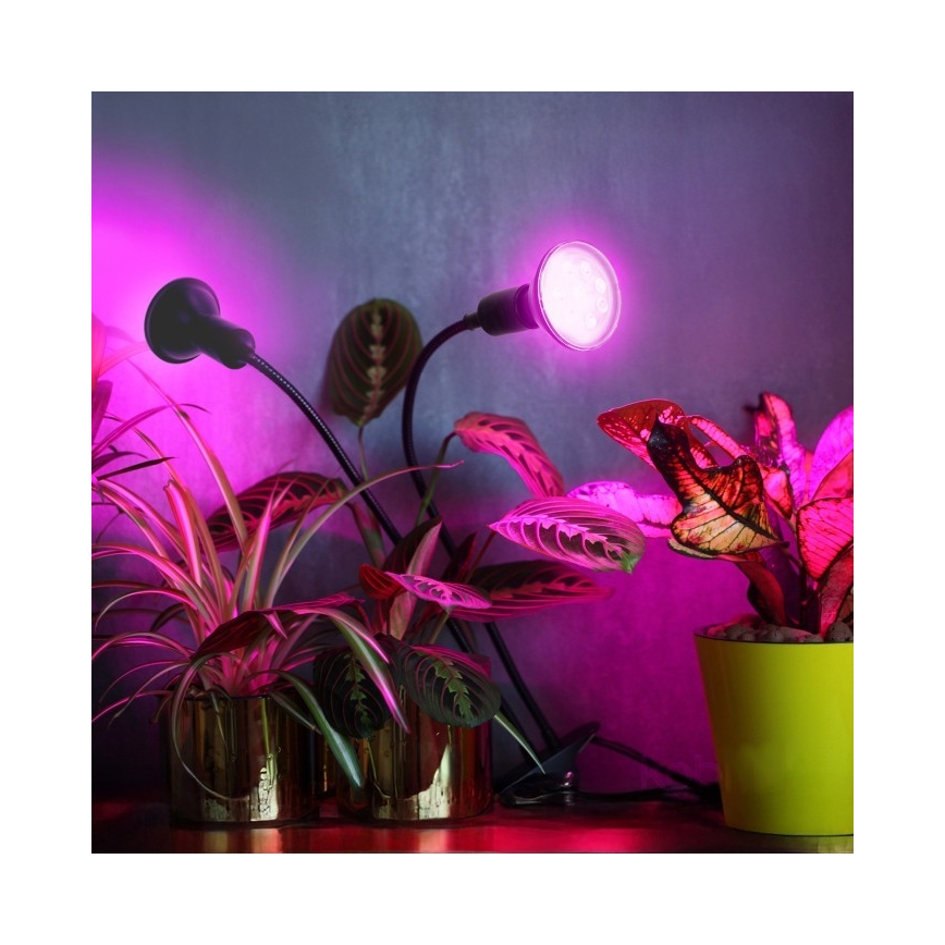 Candeeiro de mesa flexível com clipe para o cultivo de plantas PLANTY 2xE27/30W/230V preto