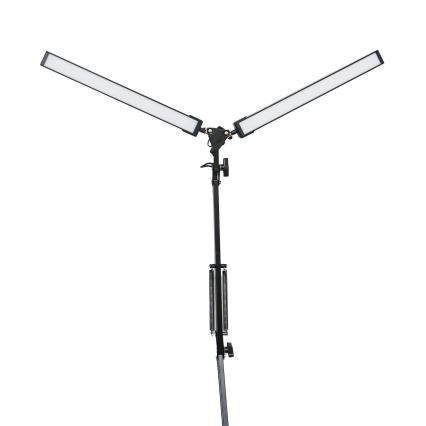 Candeeiro de mesa LED com clipe 2xLED/10W/230V 2800-6800K