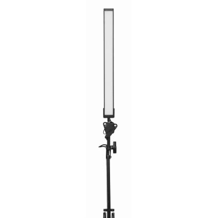 Candeeiro de mesa LED com clipe LED/10W/230V 2800-6800K
