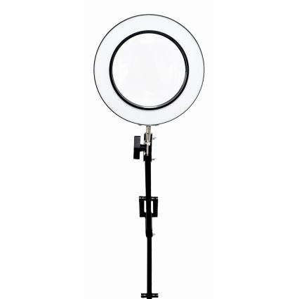 Candeeiro de mesa LED com regulação com uma lupa LED/10W/230V 3000/4500/6000K