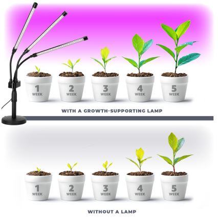 LED Regulação flexible candeeiro de mesa para o cultivo de plantas VITARO 3xLED/10W/230V preto