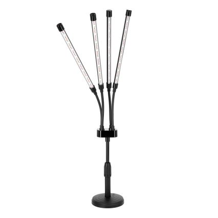 LED Regulação flexível candeeiro de mesa para o cultivo de plantas VITARO 4xLED/10W/230V preto