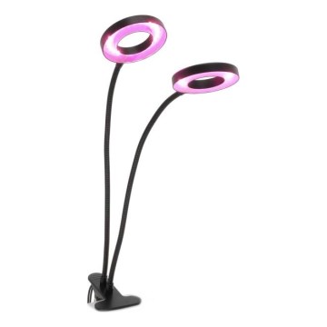 Candeeiro de mesa LED flexível regulável com clip para plantas de cultivo VITARO 2xLED/4W/230V preto