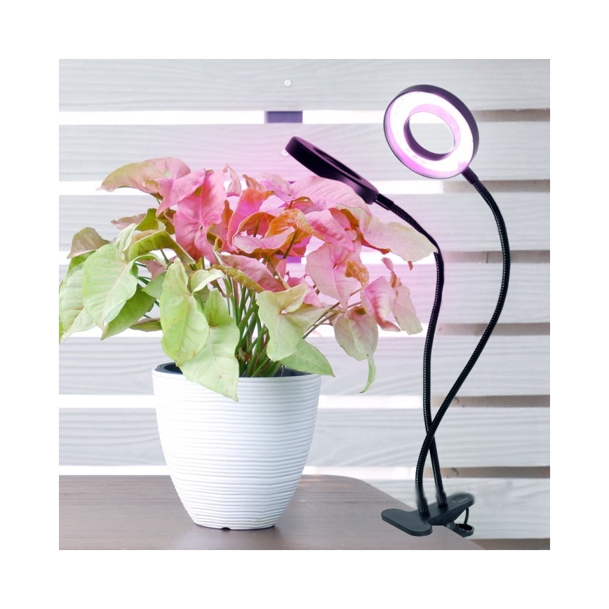 Candeeiro de mesa LED flexível regulável com clip para plantas de cultivo VITARO 2xLED/4W/230V preto