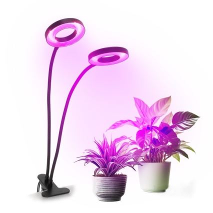 Candeeiro de mesa LED flexível regulável com clip para plantas de cultivo VITARO 2xLED/4W/230V preto
