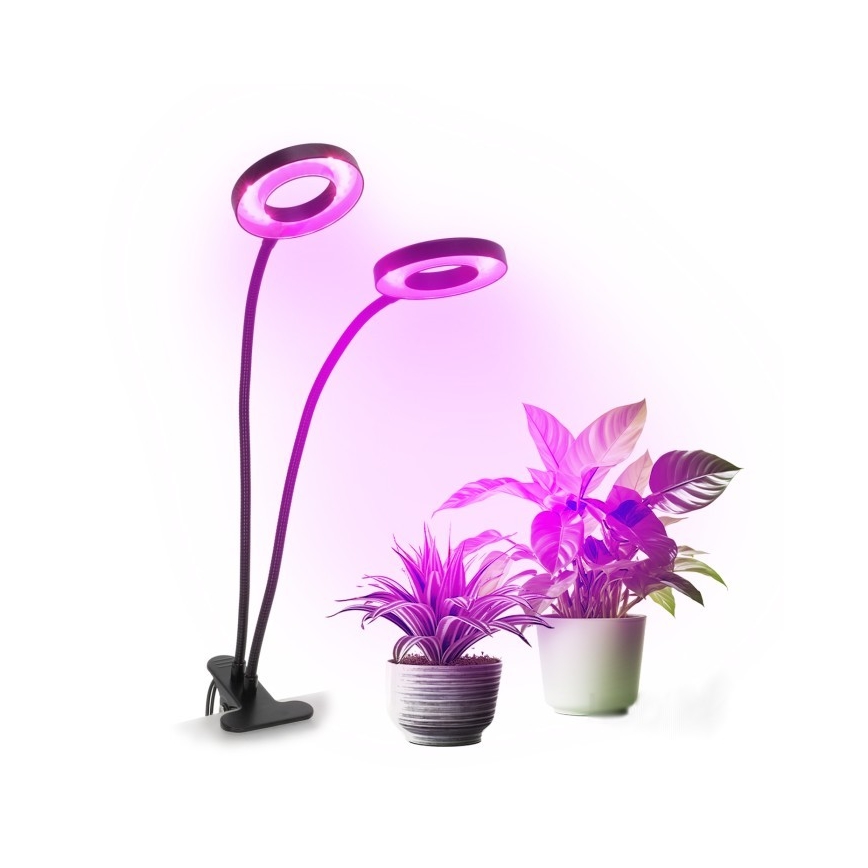 Candeeiro de mesa LED flexível regulável com clip para plantas de cultivo VITARO 2xLED/4W/230V preto