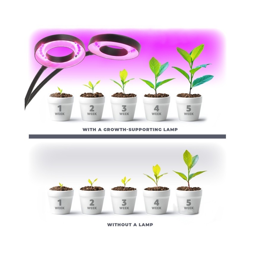 Candeeiro de mesa LED flexível regulável com clip para plantas de cultivo VITARO 2xLED/4W/230V preto