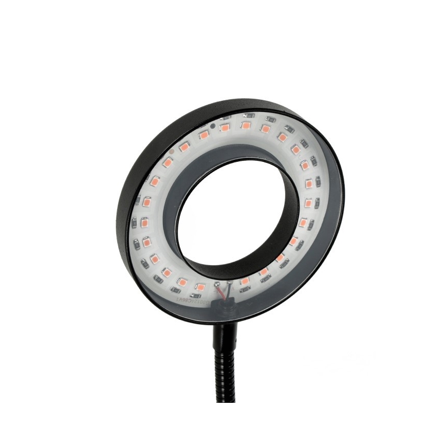 Candeeiro de mesa LED flexível regulável com clip para plantas de cultivo VITARO 2xLED/4W/230V preto