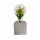 Candeeiro de mesa LED LIV LED/2xAAA cinzento