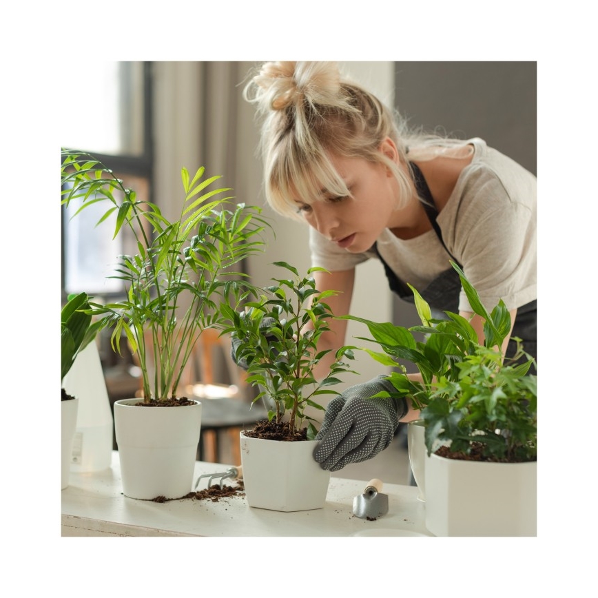Candeeiro de secretária LED dimerizável para cultivo de plantas VERDI LED/5W/5V 1300K CRI 95 branco