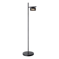 Candeeiro de pé LED OFELIA 1xGX53/6W/230V preto/fumado