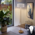 Candeeiro de pé LED TUNJA 1xE27/20W/230V Ø 38 cm dourado/branco