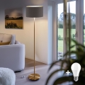 Candeeiro de pé LED TUNJA 1xE27/20W/230V Ø 38 cm dourado/castanho