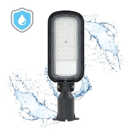 Candeeiro de rua BRELUXO LED/50W/230V 4000K IP65