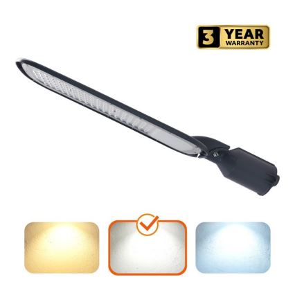 Candeeiro de rua LED BRELUXO/200W/230V 4000K IP65
