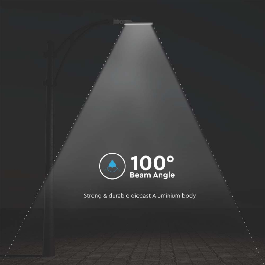 Candeeiro de rua LED com sensor SAMSUNG CHIP LED/50W/230V 6500K IP65
