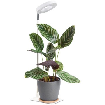 Candeeiro de secretária LED dimerizável para cultivo de plantas VERDI LED/5W/5V 1300K CRI 95 branco