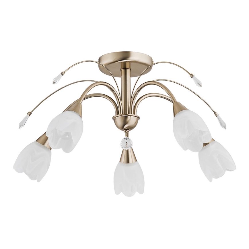 Candeeiro de tecto BASTER 5xE14/10W/230V dourado