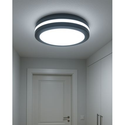 Candeeiro de tecto LED com sensor de movimento LED/20W/230V 3000/4000/6500K Ø 230 cm IP54 antracite