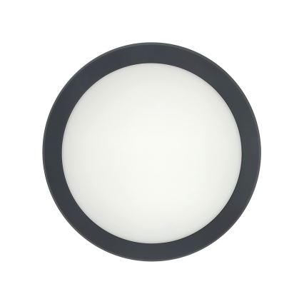 Candeeiro de tecto LED com sensor de movimento LED/20W/230V 3000/4000/6500K Ø 230 cm IP54 antracite