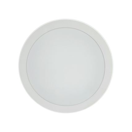 Candeeiro de teto LED com sensor de movimento LED/20W/230V 3000/4000/6500K Ø 230 cm IP54 cinzento