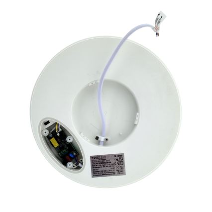 Candeeiro de teto LED com sensor de movimento LED/20W/230V 3000/4000/6500K Ø 230 cm IP54 cinzento