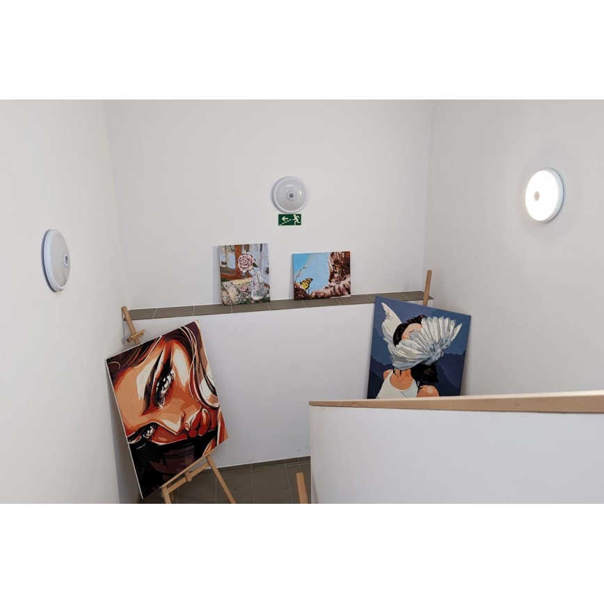Candeeiro de teto LED com sensor de movimento e crepuscular, LED/12W/230V, Ø 29 cm, branco