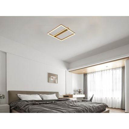 Candeeiro de teto LED regulável LED/60W/230V 3000-6500K + comando remoto