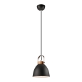 Candeeiro de teto suspenso DANIELLE 1xE27/60W/230V faia