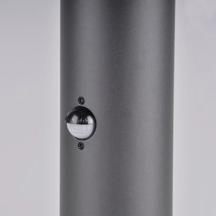 Candeeiro exterior com sensor DALLAS 1xE27/12W/230V IP44 grafite