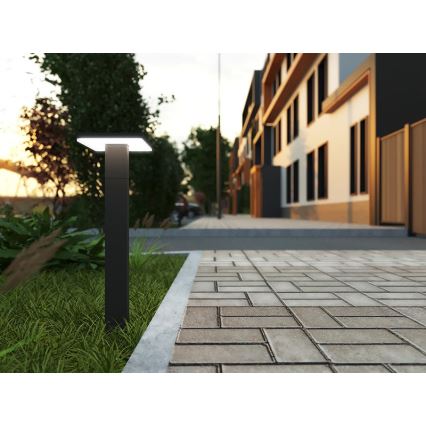 Candeeiro exterior LED com sensor BARI LED/10W/230V 4000K 60 cm IP54 antracite