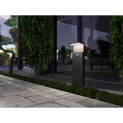 Candeeiro exterior LED com sensor NATURA LED/12W/230V 4000K IP54 castanho/antracite