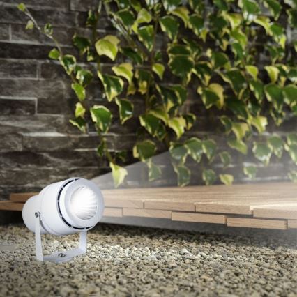 Candeeiro exterior LED LED/12W/110-240V IP65 3000K branco