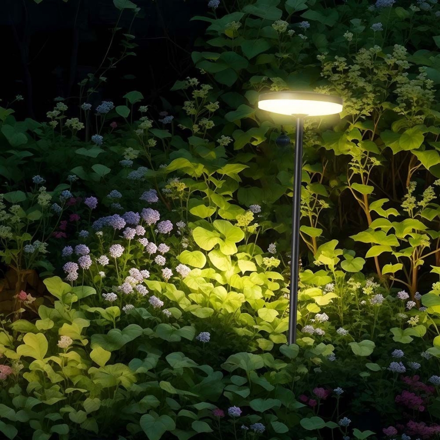 Candeeiro exterior LED LED/12W/230V 4000K IP65 antracite