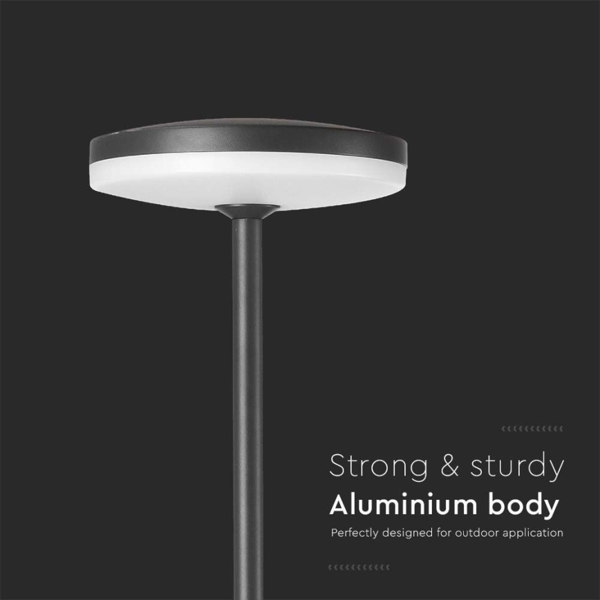 Candeeiro exterior LED LED/12W/230V 4000K IP65 antracite