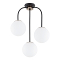 Candeeiro integrado GAMMA 3xE14/10W/230V preto/dourado