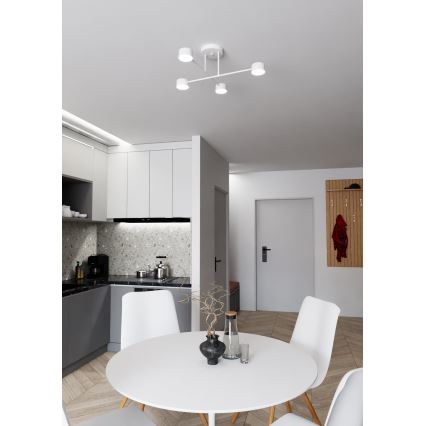 Candeeiro integrado HALO 4xGX53/10W/230V branco
