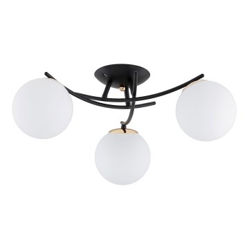 Candeeiro integrado SAVI 3xE14/10W/230V preto/dourado