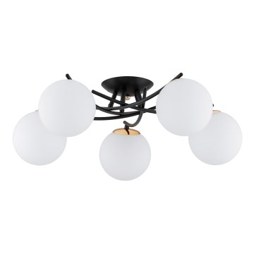 Candeeiro integrado SAVI 5xE14/10W/230V preto/dourado