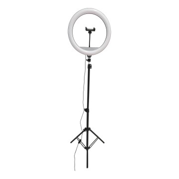 Candeeiro LED com regulação, tripé e suporte para vlogging LED/15W/5V 2700-6500K