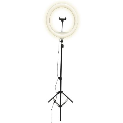 Candeeiro LED com regulação, tripé e suporte para vlogging LED/15W/5V 2700-6500K