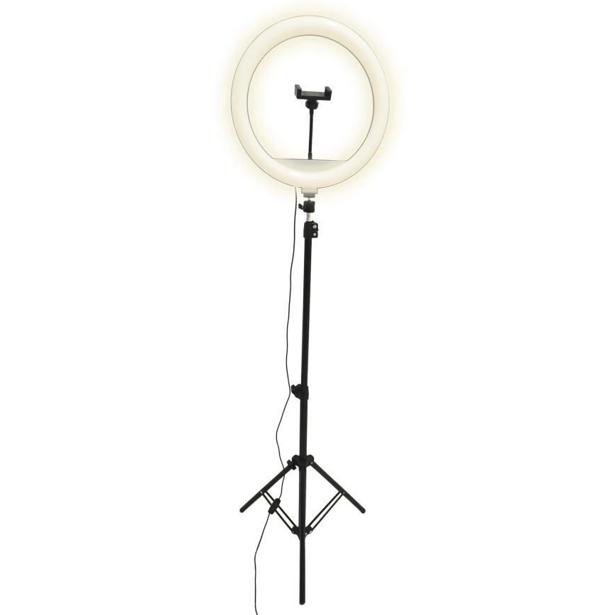 Candeeiro LED com regulação, tripé e suporte para vlogging LED/15W/5V 2700-6500K
