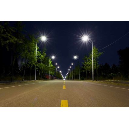 Candeeiro público LED BOSTON LED/35W/230V IP65