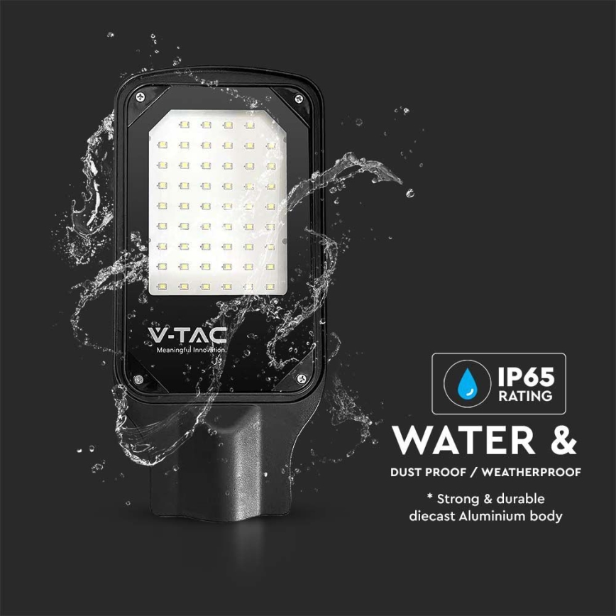Candeeiro público LED LED/30W/230V 6500K IP65