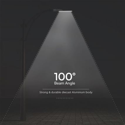 Candeeiro público LED SAMSUNG CHIP LED/100W/230V 6500K IP65
