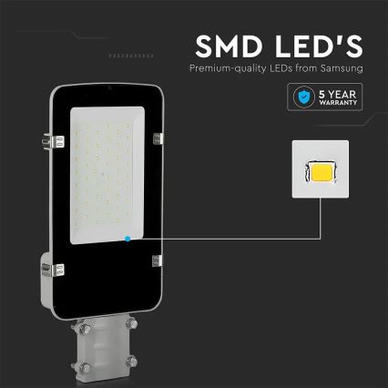 Candeeiro público LED SAMSUNG CHIP LED/30W/230V 6400K IP65