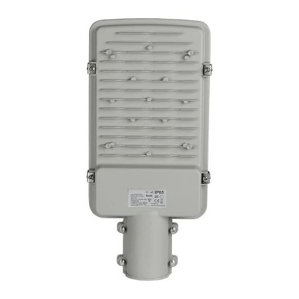Candeeiro público LED SAMSUNG CHIP LED/30W/230V 6400K IP65