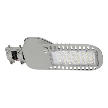 Candeeiro público LED SAMSUNG CHIP LED/50W/230V 6500K cinzento
