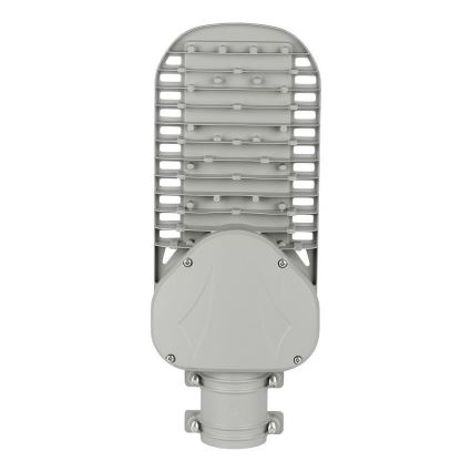 Candeeiro público LED SAMSUNG CHIP LED/50W/230V 6500K cinzento